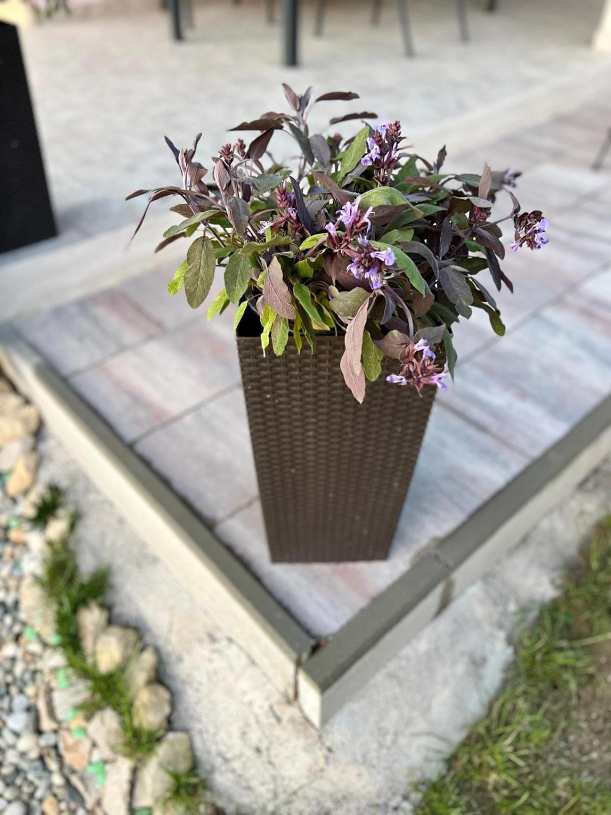 Villa El Istria Лабин Екстериор снимка